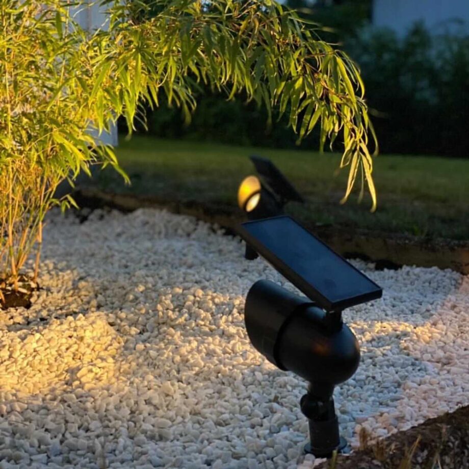 reflektory solarne w ogrodzie oświetlające roślinę