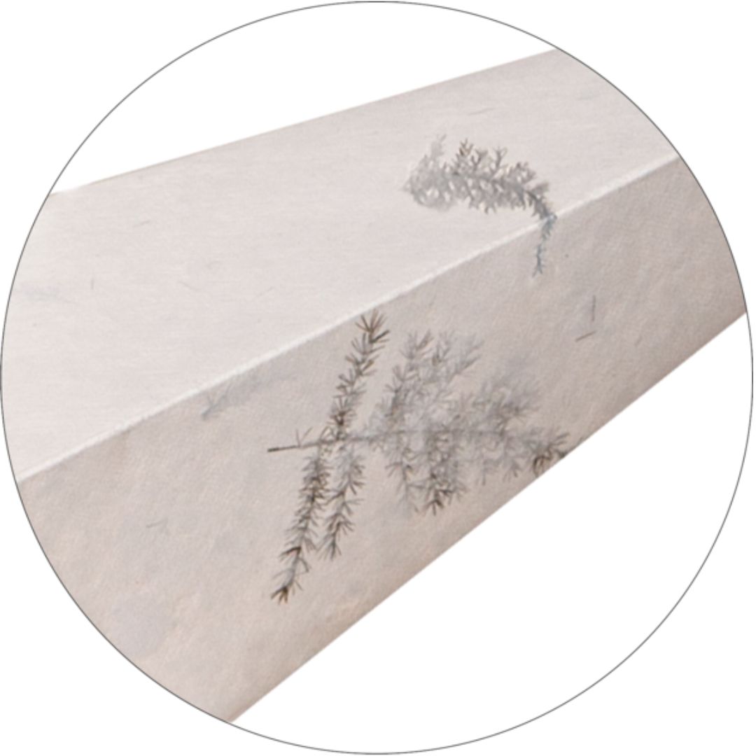 Gwiazda papierowa świecąca CARE 60cm, wzór sprasowanych liści