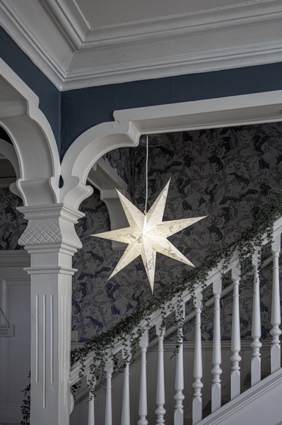 Gwiazda papierowa świecąca CARE 60cm, wzór sprasowanych liści